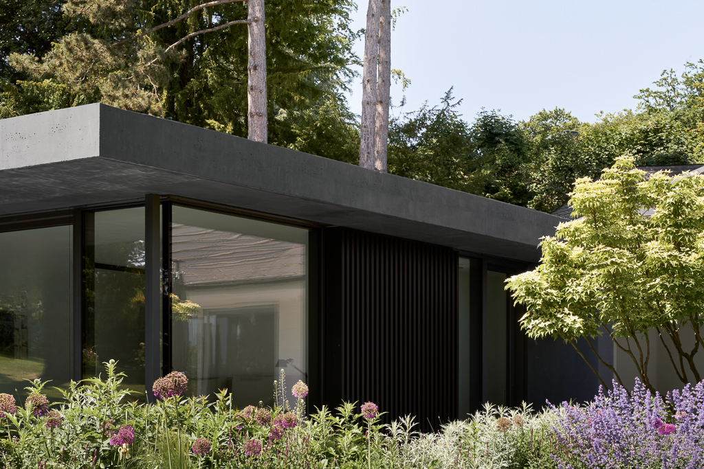 Einfamilienhaus Garten Aussansicht Beton Schwarzes Haus Graues Haus Architekturfotografie Architekturfotograf Interiorfotograf